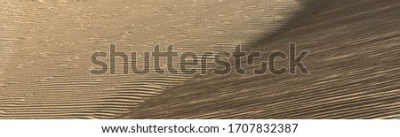 Abstract desert sand pattern shaped by low sunlight and wind formed ripples 