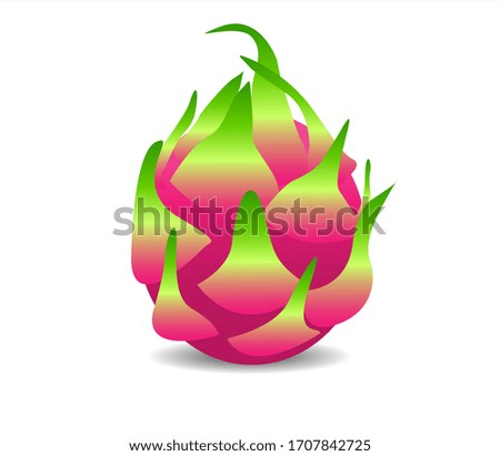 Fresh Dragon Fruit isolated on white background. Vector illustration.