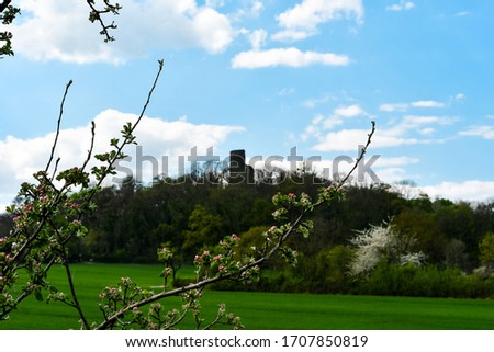 Blooming pink flowers with the Tomburg in Wormersdorf in the background on a spring day