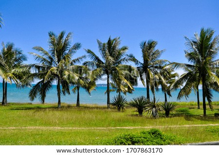 Landscape Sunny day, blue sky, palmps, beach and surf
