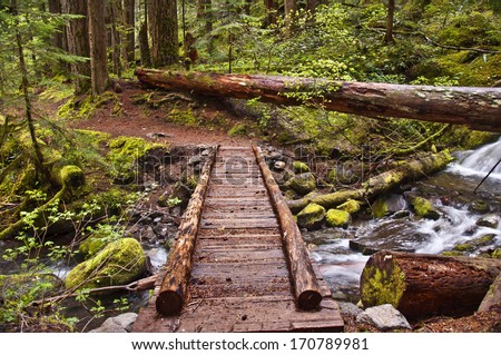 Closeup of wooden foot bridge on hiking trail in mountain over flowing river with mossy rocks./Closeup of Wooden Foot Bridge on hiking trail in mountain                               Royalty-Free Stock Photo #170789981