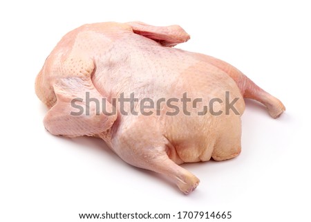 Raw whole duck, isolated on white background.