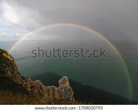 Rainbow over the Gannet colonies at Bempton cliffs.