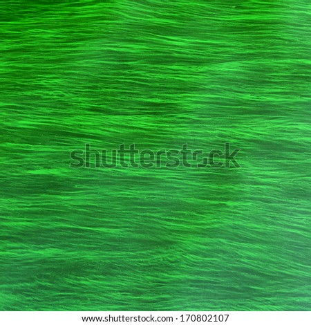 Abstract green algae on water movement on the lake
