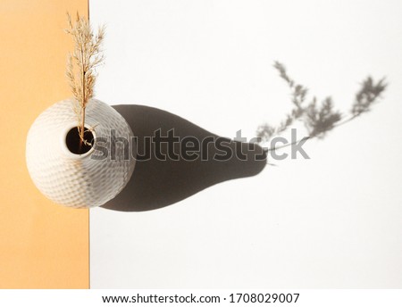 

minimalistic still life top view. ceramic vase with dried flowers on a white and orange background. Stylish minimalistic still life. Atmospheric photo with a flower. top view of a vase with a flower