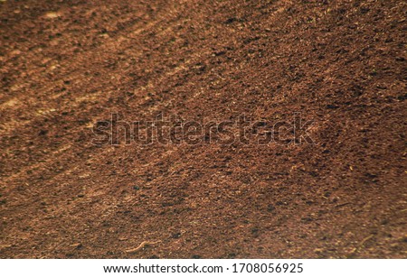 Mud track motocross. Tropical land type