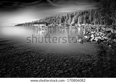 Trees in a forest at the lakeside, Carnelian Bay, Lake Tahoe, California, USA