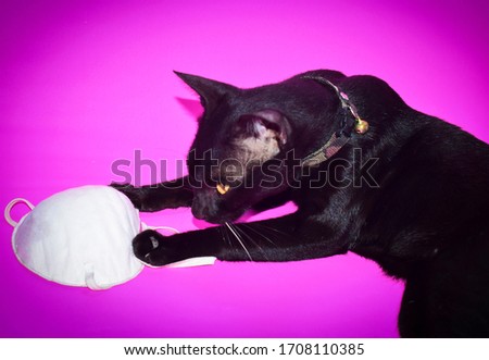 Cat with a mask isolated on a pink background Medical concepts,