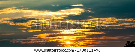 Amazing sunset and sunrise.Panorama silhouette tree in africa with sunset.Beautiful blazing sunset landscape at over the meadow and orange sky above it.Safari theme.