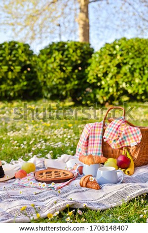 Picnic basket with fruit and bakery on a plaid and a green meadow with flowers. Lunch in the park on the green grass. Summer picnic background concept. Copy space. Soft focus 