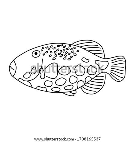 The fish of the sea or river.Coloring pages for adults or children.Black and white image.Doodle coloring book.Vector illustration