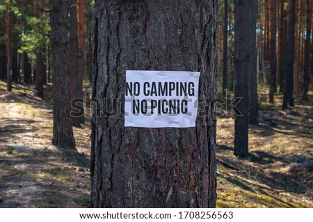 Ads: No camping no picnic. Prohibition sign on a white piece of paper that hangs on a pine tree in the forest.