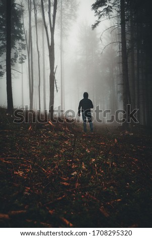 fog in a forest at night with mysterious silhouette and light in the distance