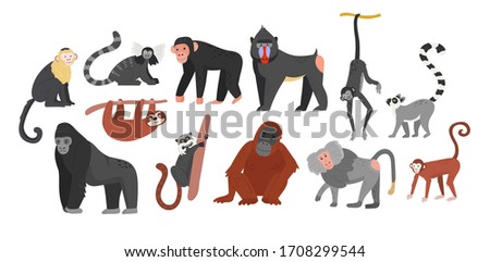 Big collection of funny cartoon different monkeys. Huge set. Vector illustration for web and design Royalty-Free Stock Photo #1708299544