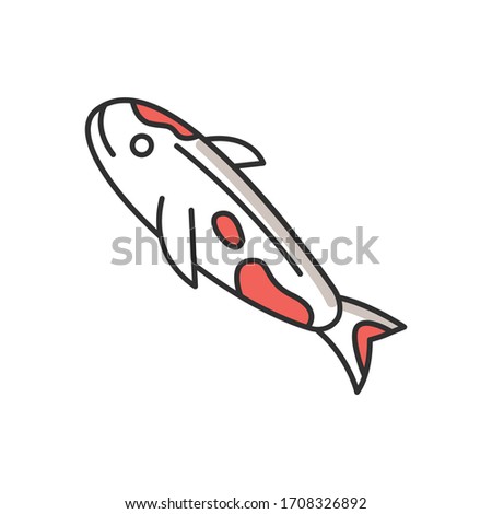 Koi carp RGB color icon. Japanese fish as luck symbol. Exotic chinese goldfish. White fish with red spots. Underwater wildlife animal. Cath and lure, fishery. Isolated vector illustration