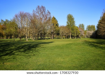 Golf course on a summer morning