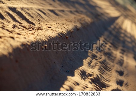 Lane in the sand of Kalahari