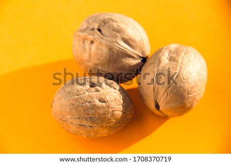 Three walnuts isolated on a colored background.