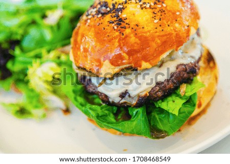 Organic Beef Hamburger on the Plate with Salad