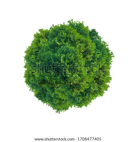 Green leaves circle isolated on white Royalty-Free Stock Photo #1708477405