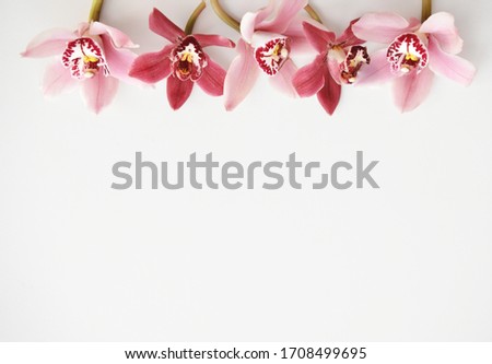 View from above of romantic pikn orchid flowers background. Top view spa concept. Layout flower background