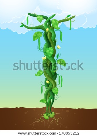 Illustration of a bean stalk on the fairy tale Jack and the Beanstalk. The concept of growth