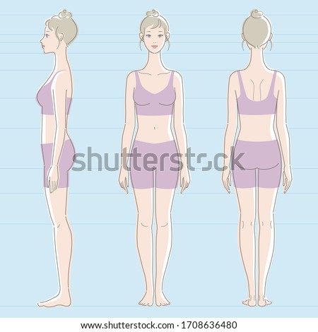Whole body of white skinned female. Front, side, and back.  Vector illustration. Royalty-Free Stock Photo #1708636480