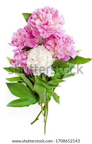 beautiful peony flowers bunch isolated on white background Royalty-Free Stock Photo #1708652143