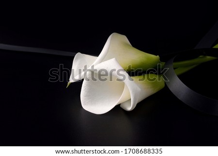 concept of death and sorrow. White Zantedesia flowers with mourning ribbon on a black background. copy space. banner.