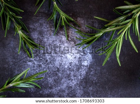 Close up picture of a fresh rosemary on a dark rustic table