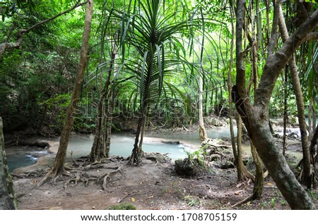 Nature and ponds at the Erawan waterfalls Thailand Southeast Asia