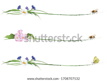 set of floral dividers with bee, butterfly, flowers of apple and wild flowers