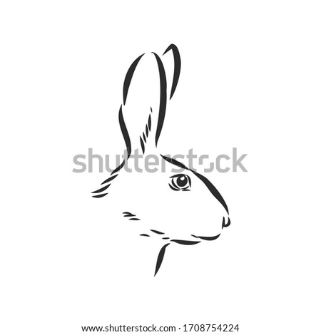 Hand-drawn portrait of rabbit. Vector illustration. portrait of a hare, head of a hare vector sketch illustration