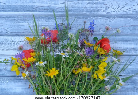 Top view on still life with bouquet of spring wild flowers. Close up of mixed colorful wildflowers on blue vintage wooden background. Spring or summer floral background with copy space.  