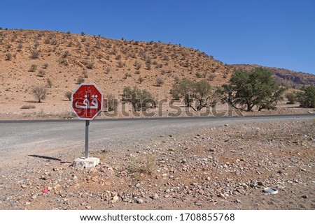Stop sign in Arabic language at crossroad in rocky desert of Morocco, Argan trees behind, Africa