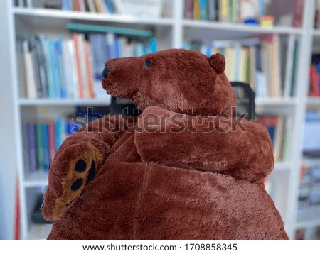 
A teddy bear looking at bookshelves without knowing what to read in this isolation