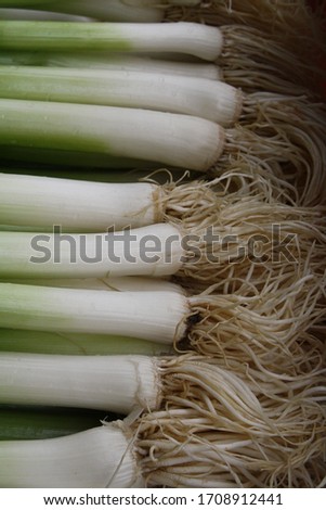 Green spring onions close picture