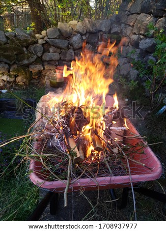 Burning green garden waste in a wheelbarrow bonfire