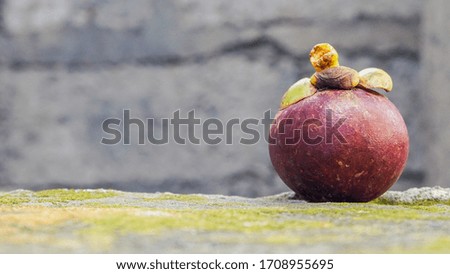 Close up the mangosteen on the table