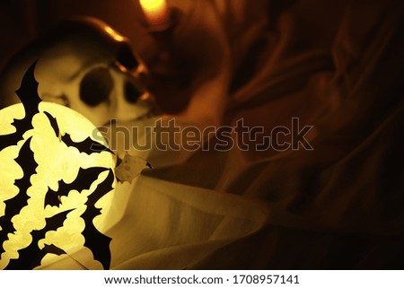 Black silhouettes of bats on background of the moon. Halloween concept. Scary background. Frightening abstract objects for Halloween.