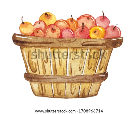 Watercolor apples in basket Isolated on white background.
