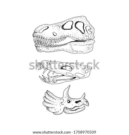 Sketch, vector black and white drawing of a dinosaur skeleton, children's coloring.
