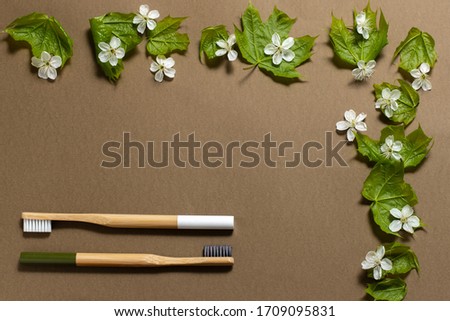 two bamboo toothbrushes on a brown background. frame of green leaves and cherry flowers. environmentally friendly. place for text