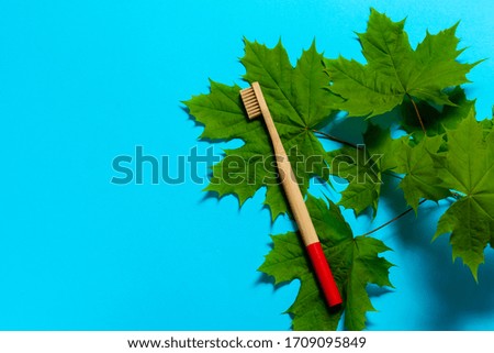 red bamboo toothbrush lies on green leaflets on a blue background. eco friendly. place for text.