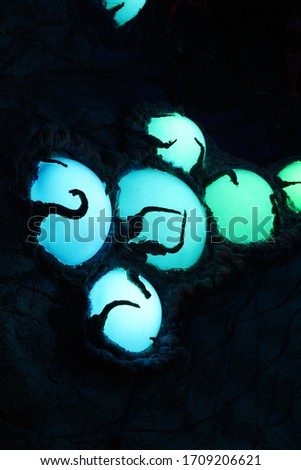 Unique Strange Glowing Orbs With Growing Vines