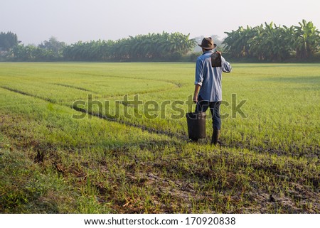Young farmer working at rice field in Thailand Royalty-Free Stock Photo #170920838