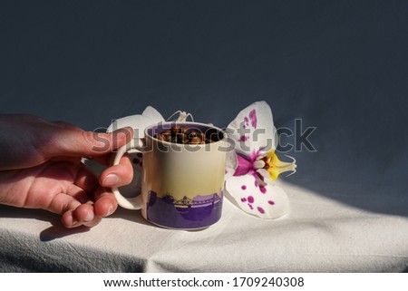 Female hand holds a coffee cup full of coffee beans with orchid flower behind white cloth background, beautiful morning concept for good morning