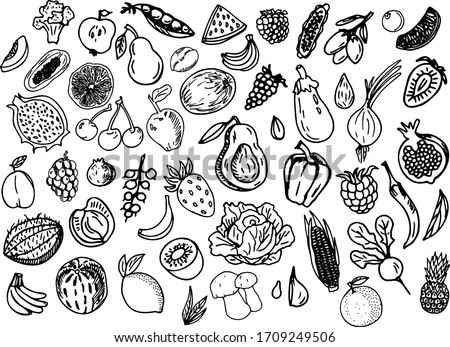 A set of fresh fruits and vegetables drawn by hand with a liner. Vegetarian food. Vector image, a set of graphic elements for the menu. Berries, citrus fruits, onions, peppers, corn, melon, eggplant.