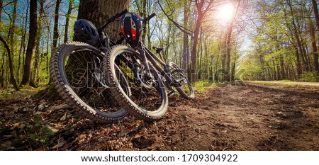 Two mountain bikes leaned on a tree next to a beautiful green forest trail with sun shining through the trees. Mountain biking concept. Royalty-Free Stock Photo #1709304922