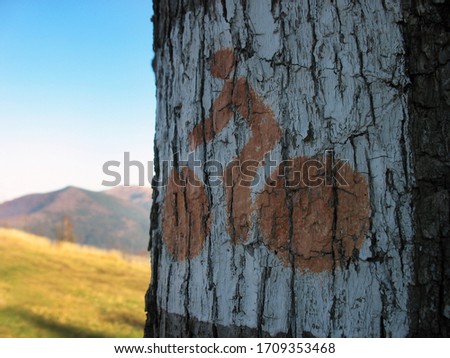 Marker of a bicycle route in the mountains. Track marker on a tree.